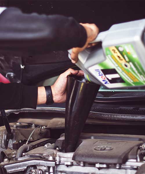 Travel Services Srinagar